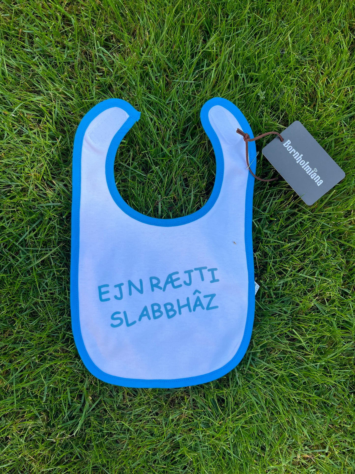 Slabbedøgg