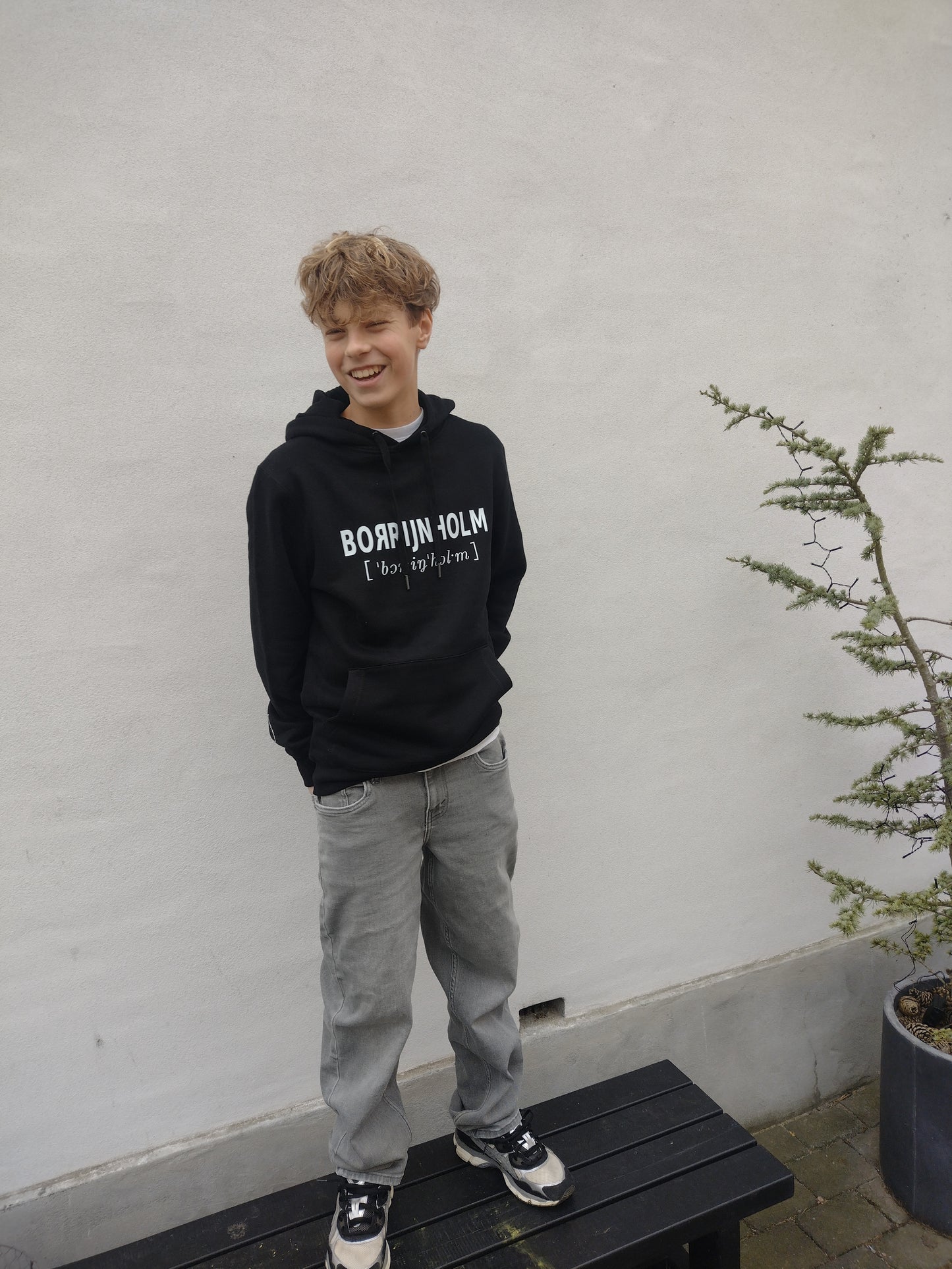 Borrijnholm i bågstawa (hoodie)