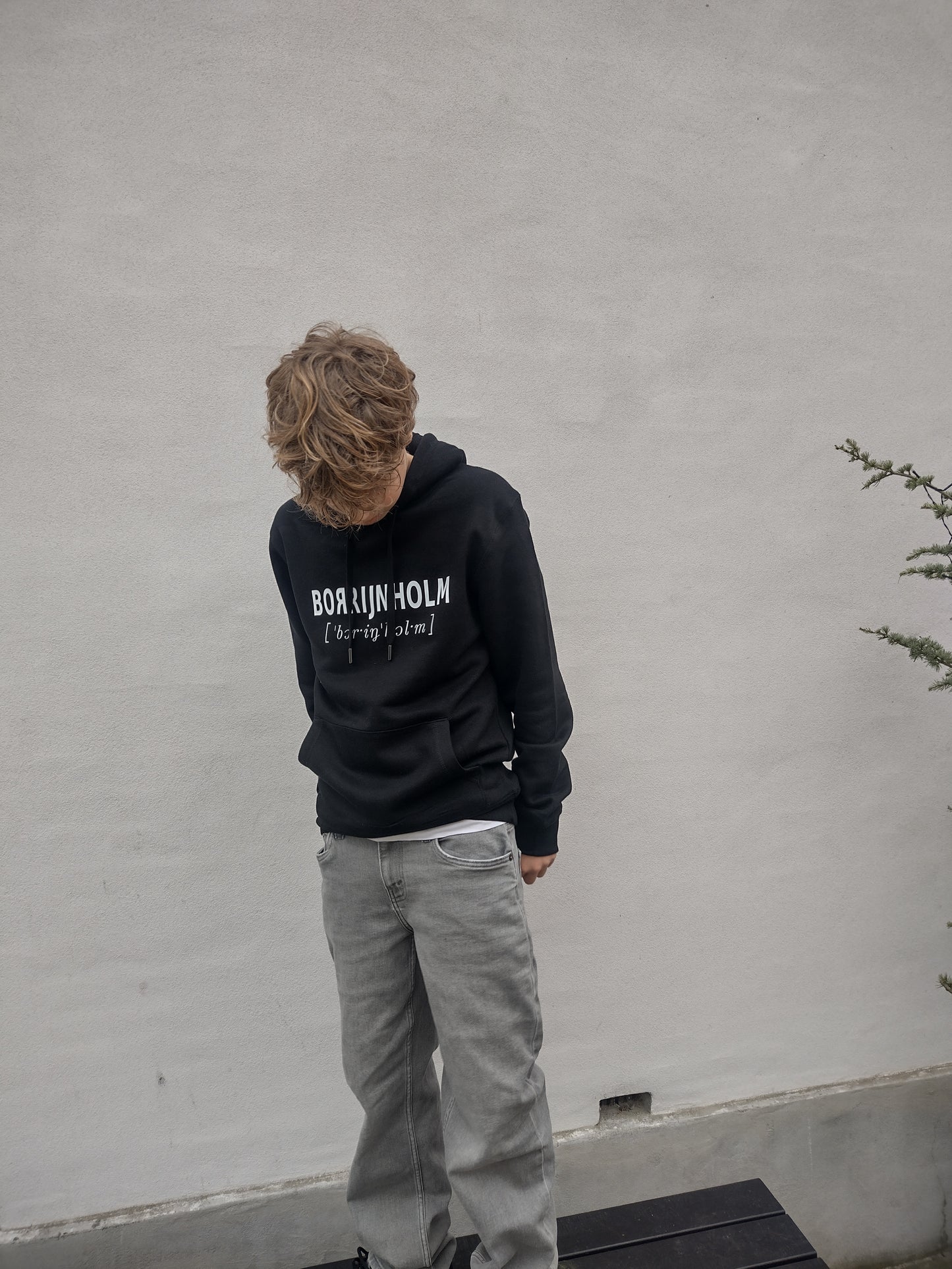 Borrijnholm i bågstawa (hoodie)